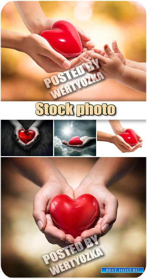 Красное серде в руках / Red cardiovascual in hands - stock photo