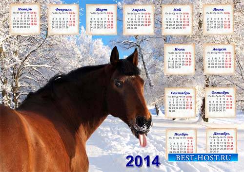 Календарь на 2014 год - Прикольная лошадь