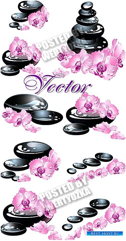 Спа камни и орхидеи / Spa stones and orchid - stock vector