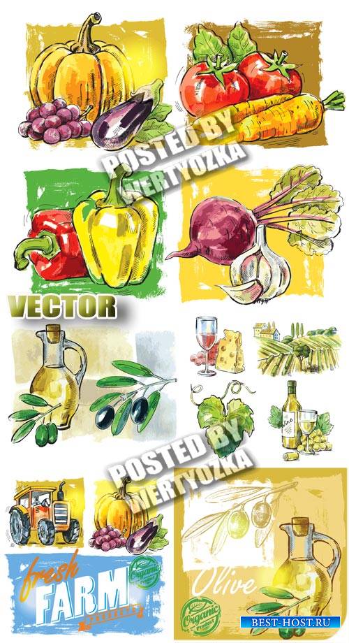 Овощи, сбор урожая / Vegetables, harvesting - stock vector