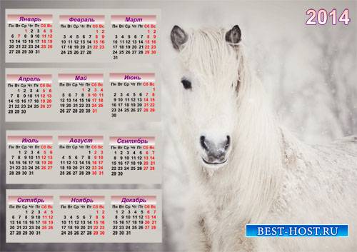 Красивый календарь - Красивая белоснежная лошадь