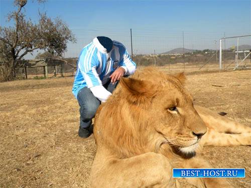 Шаблон для фотомонтажа - Фотография с большим львом