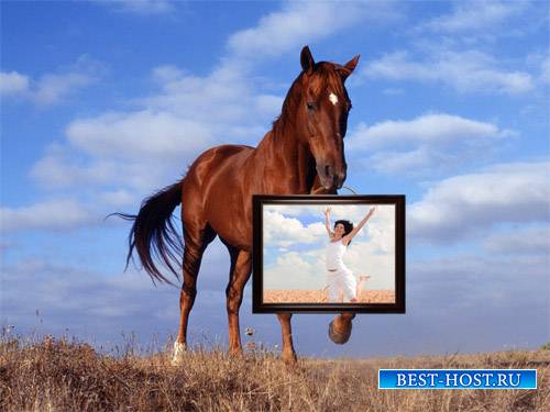 Рамка для фотографии - Лошадь держит картину с вашим фото