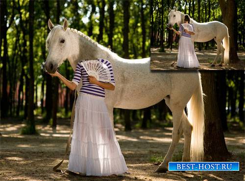 Шаблон для photoshop - Фотосессия с шикарной лошадью в парке