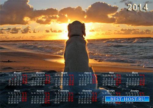 Календарь на 2014 год - Собака на пляже очарована закатом