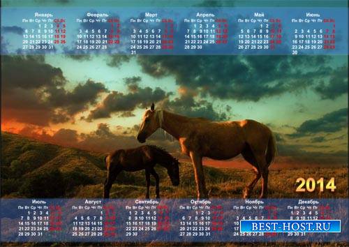 Красивый календарь - Две лошади стоят на полянке