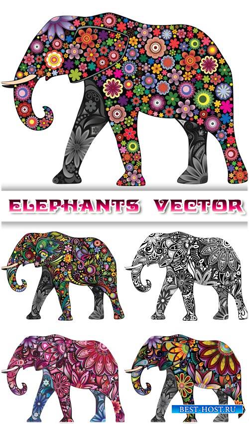 Слоны, креатив, цветочные узоры - вектор