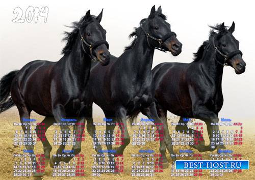 Календарь - 3 черных лошади