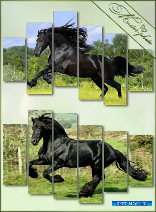 Модульные картинки PSD - Гнедая лошадь