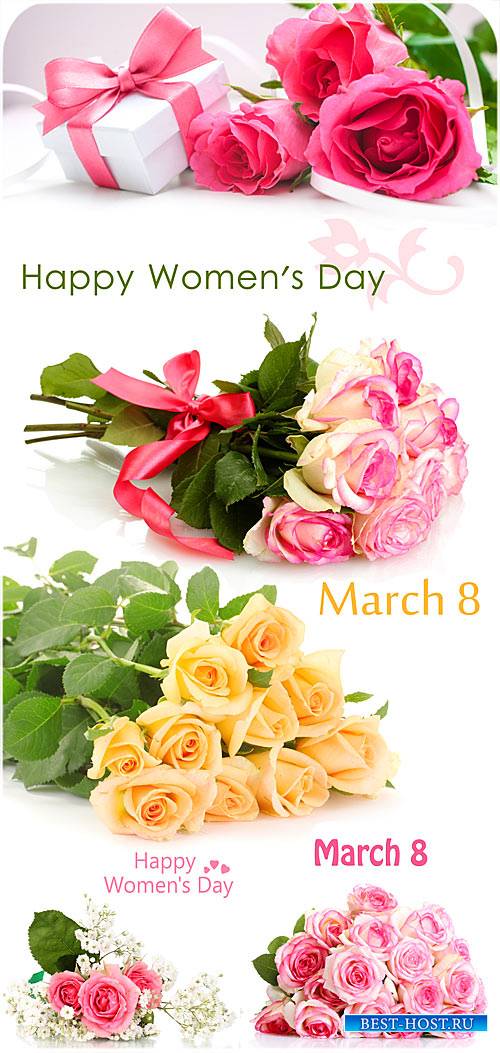 Розы на день матери, 8 марта - сток фото