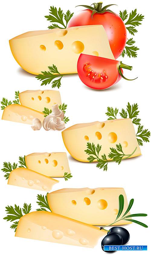 Сыр с томатами, оливками и грибами - вектор