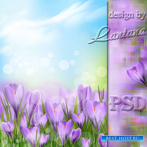 PSD исходник - Нежно-лиловый, застенчивый крокус