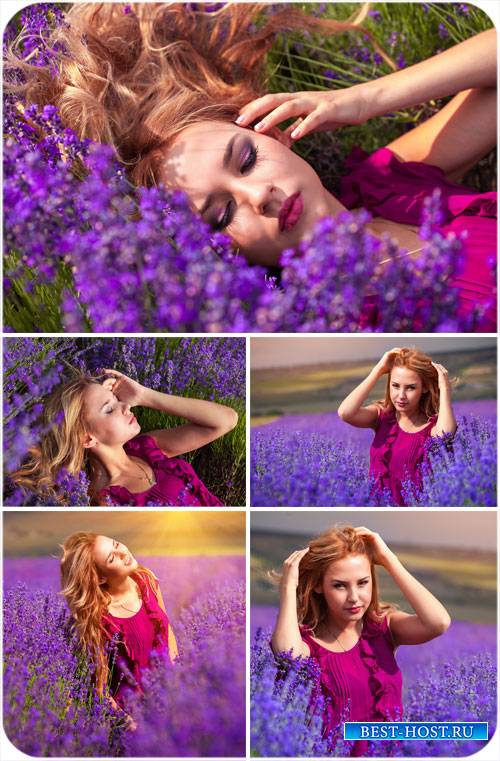 Девушка на цветочном поле, сиреневые цветы - сток фото