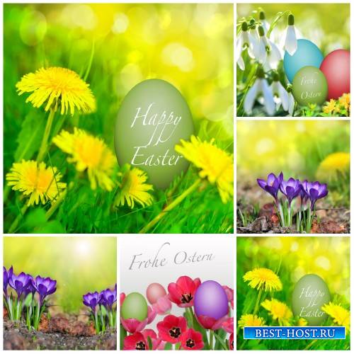 Пасха, весенние фоны с цветами / Easter, spring background with flowers - Stock Photo