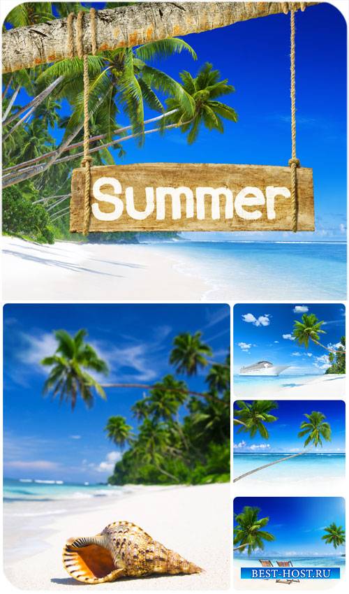 Лето, море, пальмы / Summer, sea, palm trees - Stock Photo