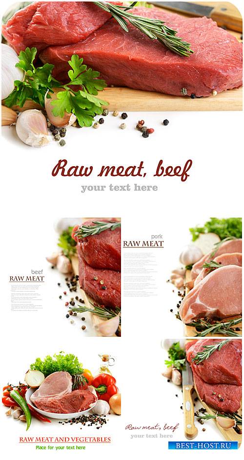 Свежее мясо с зеленью и специями / Fresh meat with herbs and spices - Stock Photo