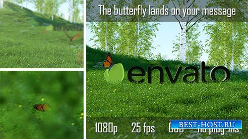 Butterfly Logo Reveal - Project for After Effects (Videohive)