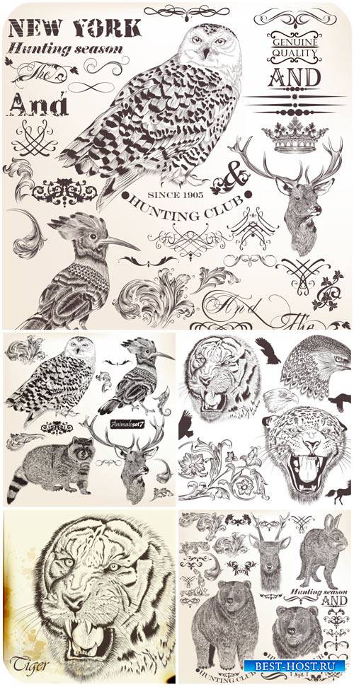 Животные в векторе, декоративные элементы / Animals vector , decorative elements
