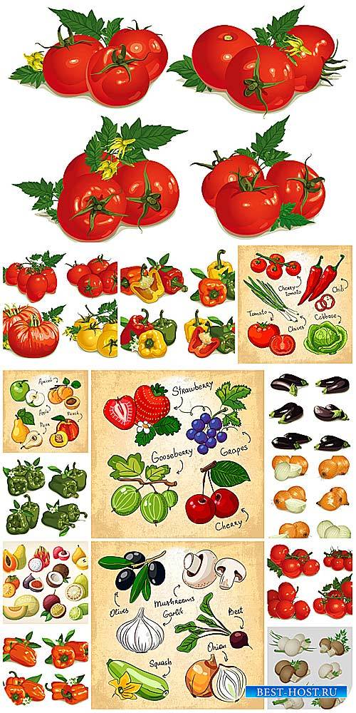 Овощи, фрукты и ягоды в векторе / Vegetables, fruits and berries vector