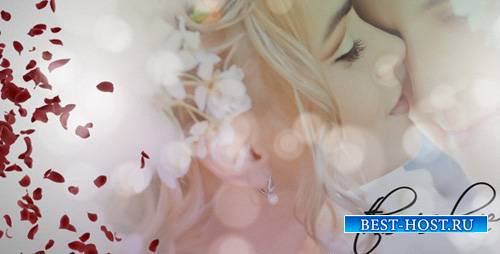 Wedding Album 1837869 - Project for After Effects (Videohive)