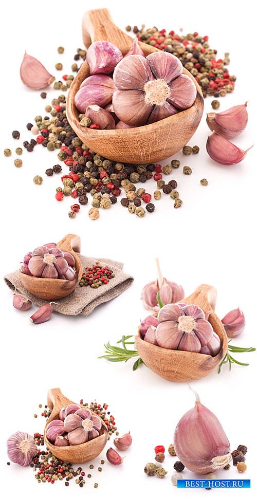 Чеснок, специи / Garlic and spices - Stock Photo