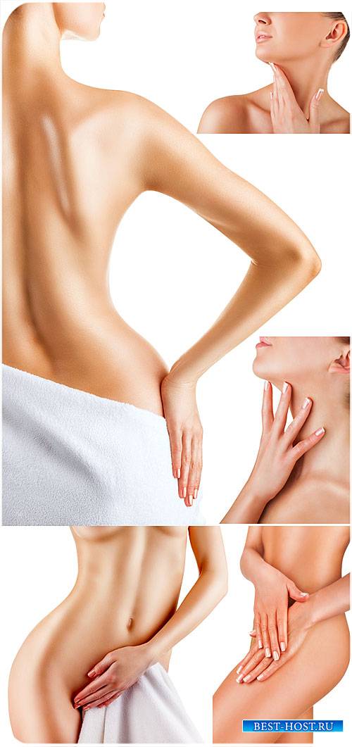 Женское тело, уход за телом / Female body, body care - Stock photo