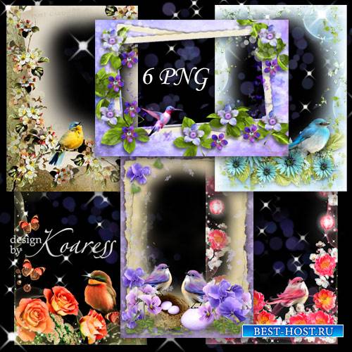 Набор png рамок для фото с птичками и цветами - Птичье пение в день весенни ...