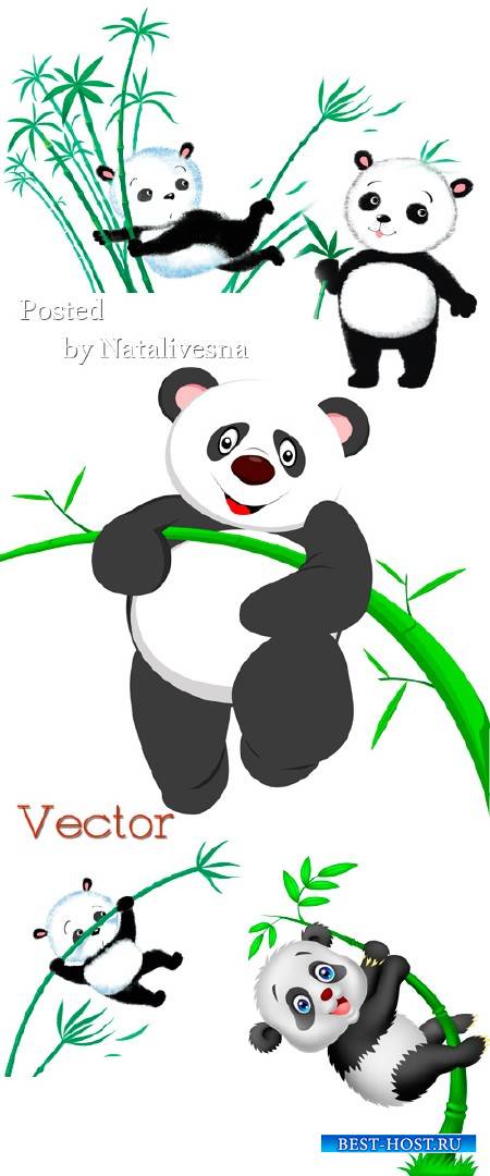 Панда с бамбуковой веткой  в  Векторе