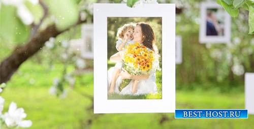 Photo Gallery Blossoms and Bees - Project for After Effects (Videohive)