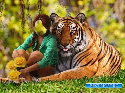 Шаблон для девушек - С тигром и цветами в парке
