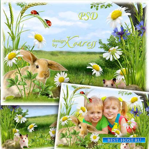 Детская рамка для фотошопа с луговыми цветами и пушистыми обитателями полей - Ребята и зверята