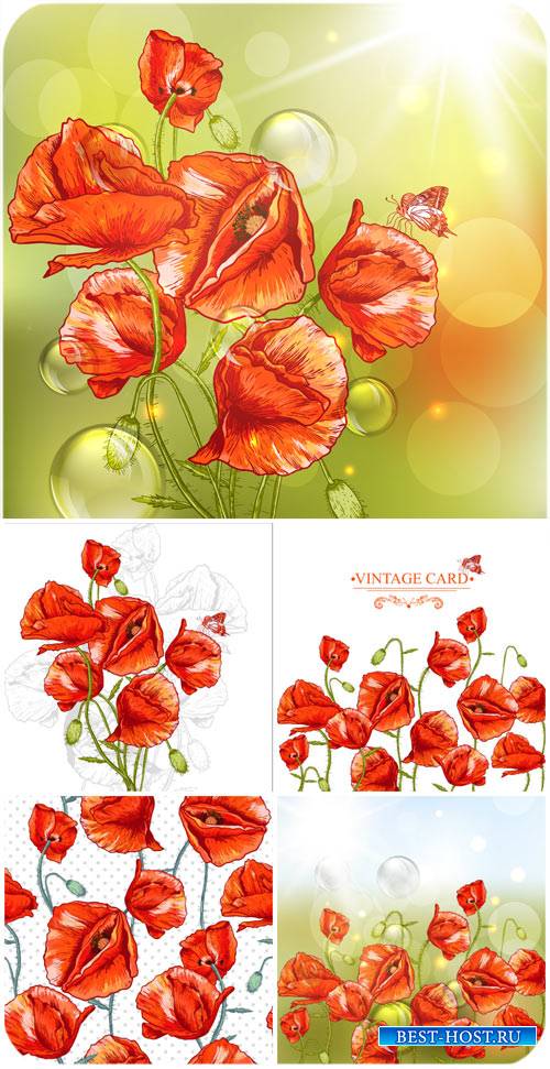 Векторные фоны с красными маками / Vector background with red poppies