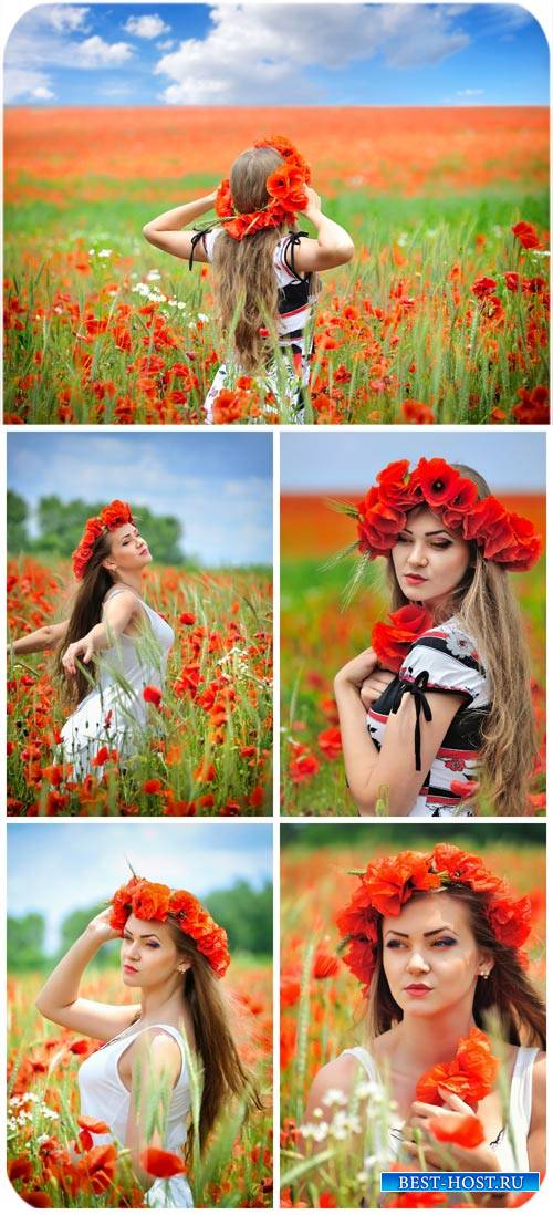 Девушка и красные маки / Girl and red poppies - Stock photo