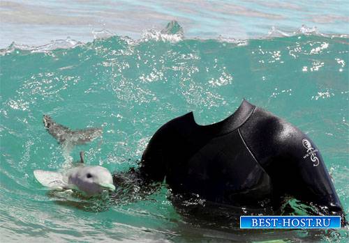 В воде с детенышем дельфина - Шаблон для мужчин