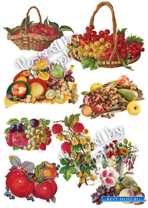 Ягоды и фрукты на прозрачном фоне