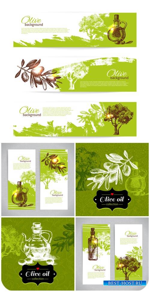 Оливки, фоны и баннеры в векторе / Olives, backgrounds and banners vector