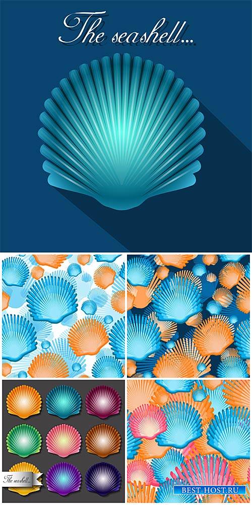 Векторные фоны с ракушками, морские фоны / Vector Background with seashells ...