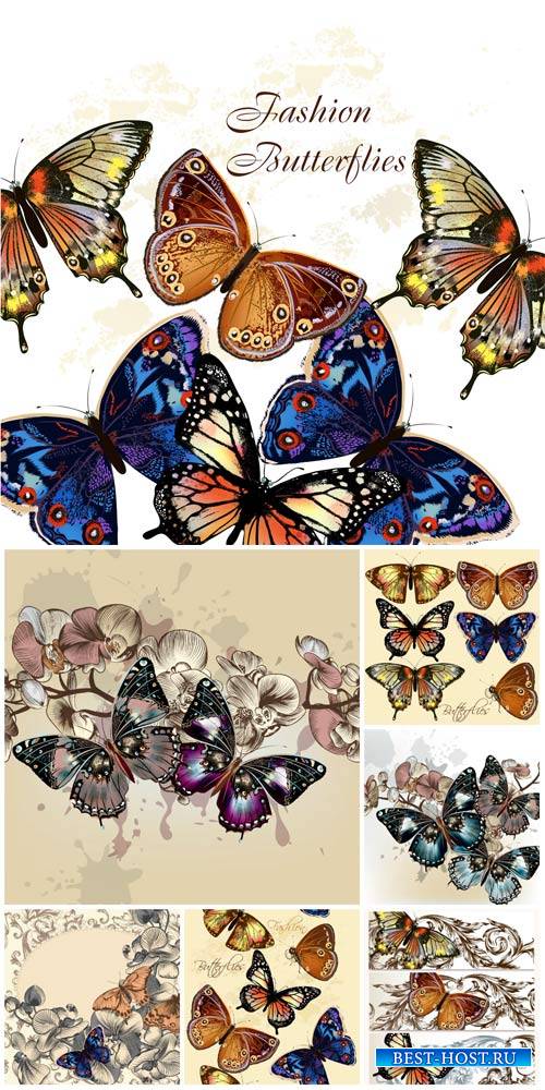 Бабочки, векторные фоны с узорами / Butterflies, vector backgrounds with pa ...