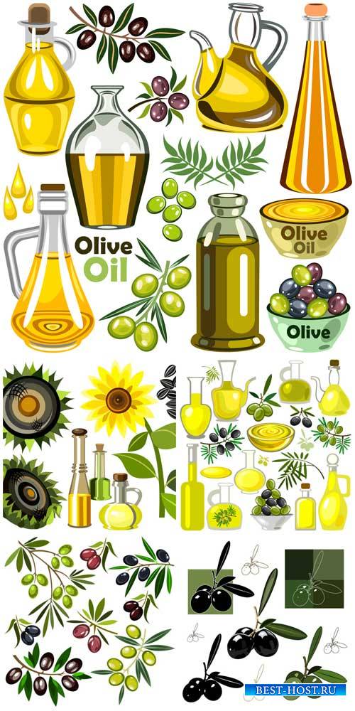 Оливки, оливковое масло в векторе / Olives, olive oil vector
