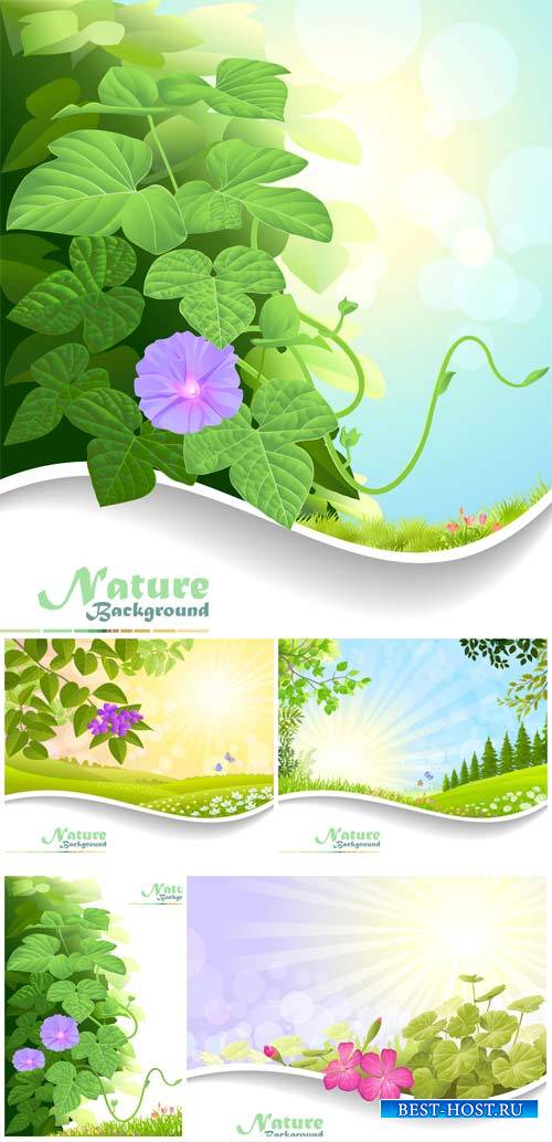 Природные фоны, векторные фоны с цветами / Natural backgrounds