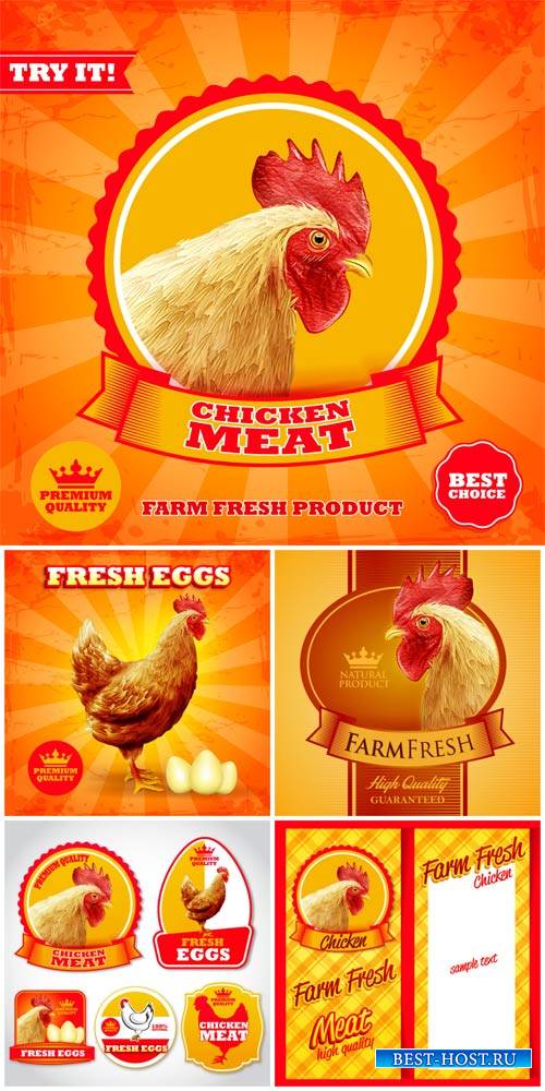 Вектороные этикетки и фоны с курицой / Vector labels and backgrounds with chicken