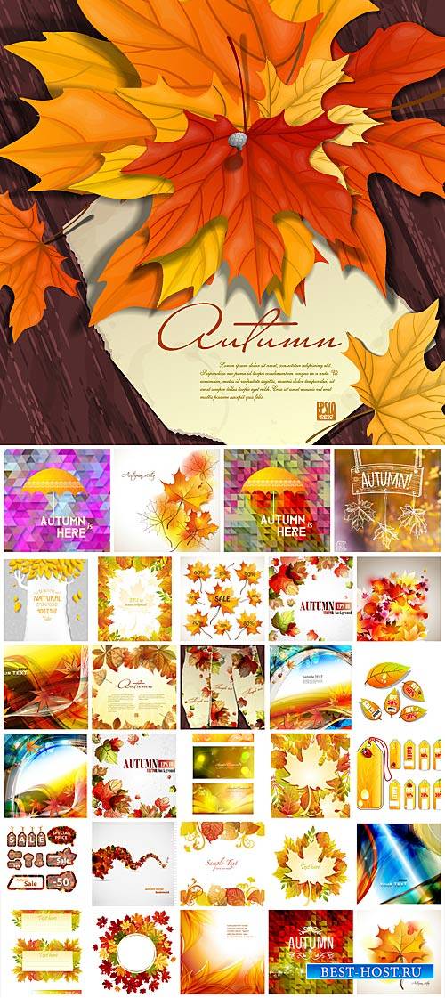Осенняя векторная коллекция, фоны / Autumn vector collection, backgrounds