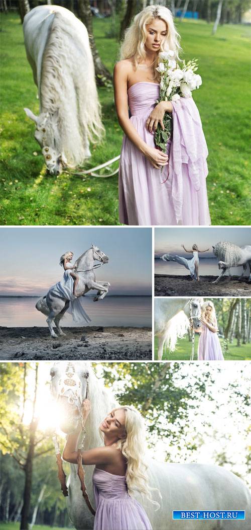 Girl with a white horse - stock photos