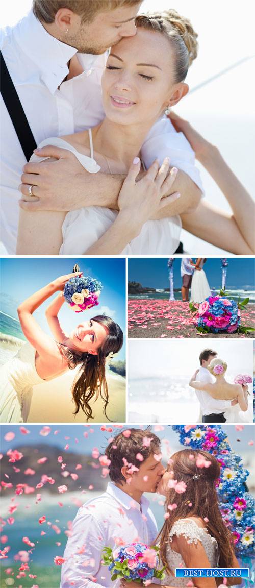 Wedding, family, bride and groom - stock photos
