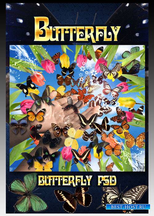 PSD исходник Порхающие Бабочки / Butterfly