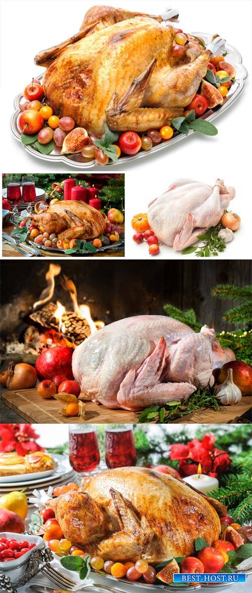 Festive Christmas food, baked chicken - stock photos
