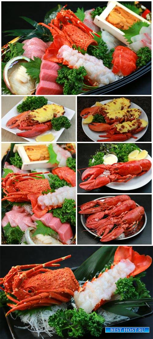 Lobster, seafood - stock photos
