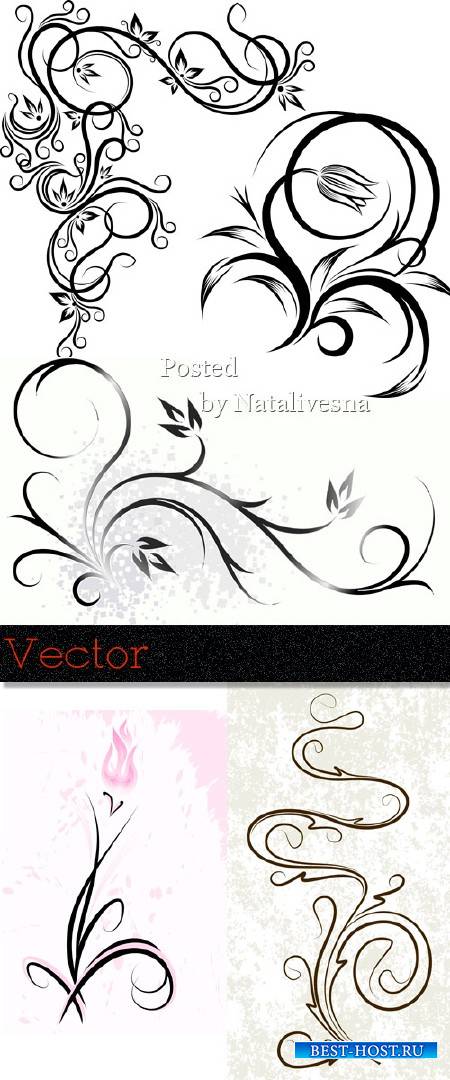 Декоративные цветочные узоры и элементы  для дизайна в Векторе