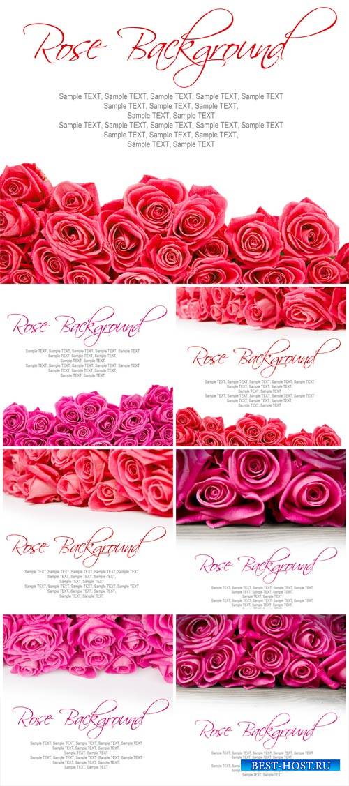 Valentine's Day background with beautiful roses - stock photos