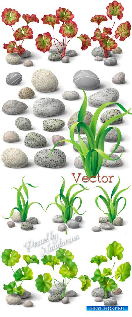 Песчаные камушки и красивые листики в Векторе
